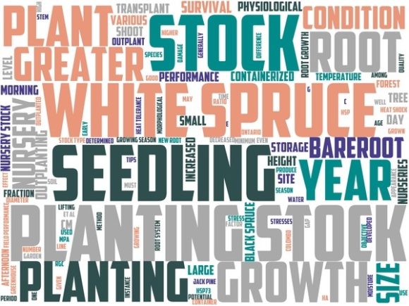 Nurseryman Wordart Sublimation.jpg: A Strategic Design Asset for Purpose-Driven Creators