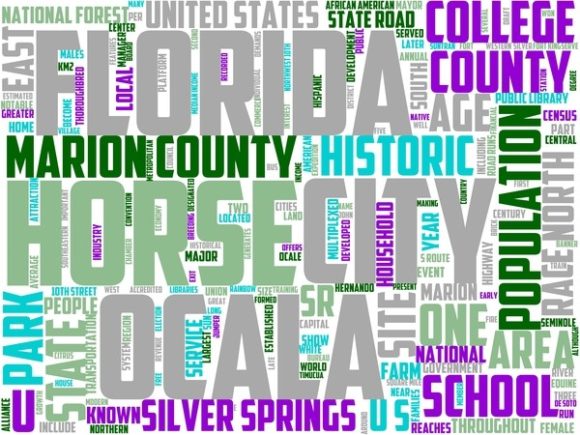 Ocala Wordart Tie Dye.jpg: A Hand-Drawn Word Cloud That Bridges Craft and Commerce