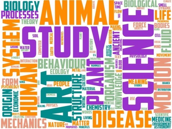 Paroemiology Wordart Skinny Tumbler