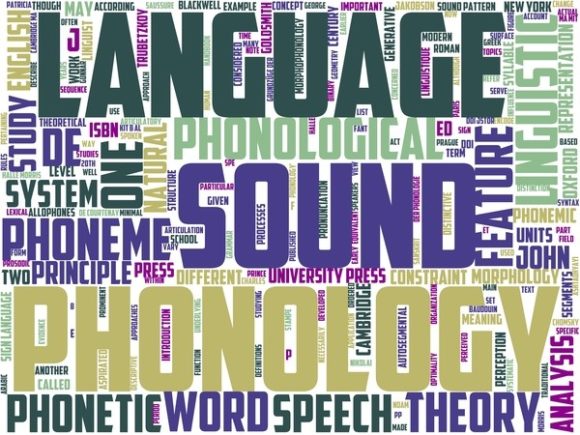 Phenology Wordart Banner
