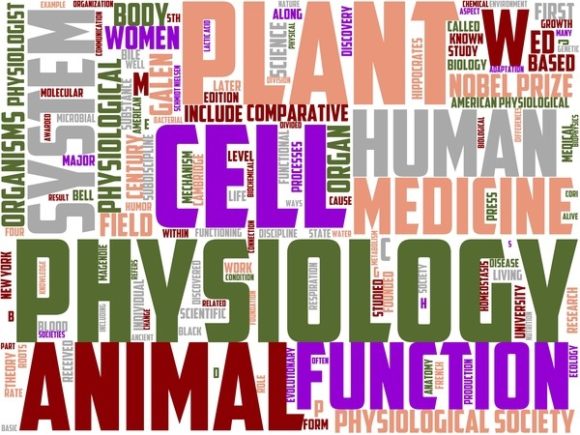 Physiologist Wordart Background: A Hand-Drawn Wordcloud for Real Creative Work