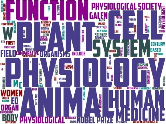 Physiology Wordart Skinny Tumbler