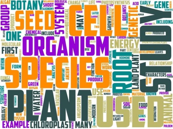 Phytology Wordart Tumbler: Inspire Creativity with Hand-Drawn, Colorful Wordclouds