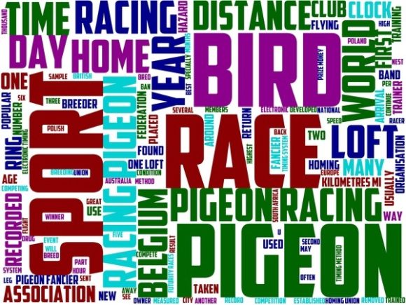 Pigeon Racing Wordart Tshirt: A Vibrant, Versatile Design Resource