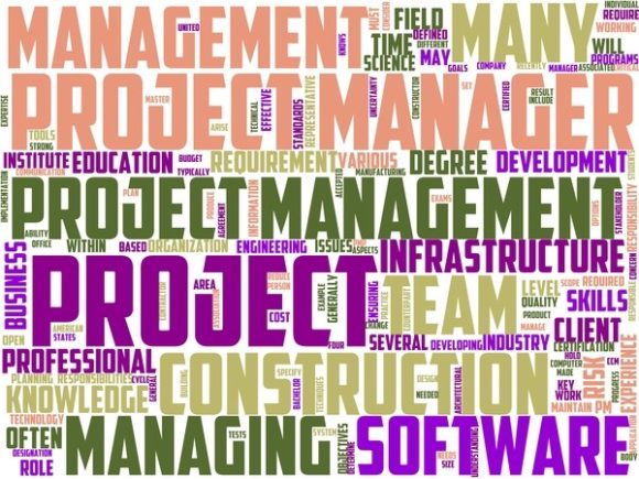 Project Manager Wordart Skinny Tumbler