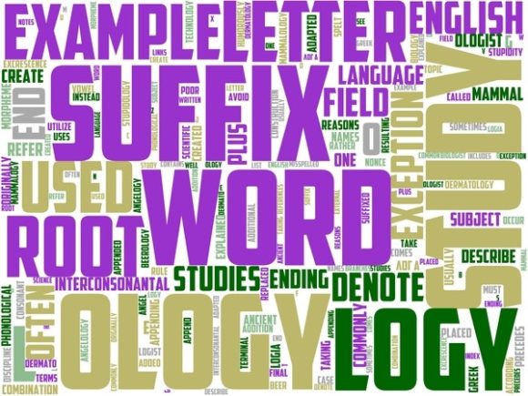 Promorphology Wordart Tumbler
